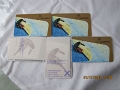 2010-01-17 12-48-15rp_0030